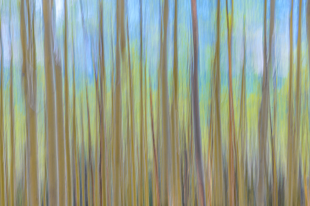 PAINTERLY
