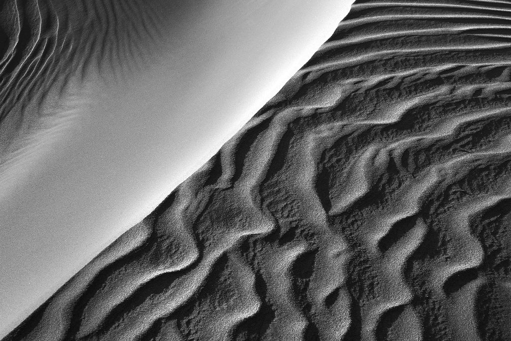 ABSTRACTS